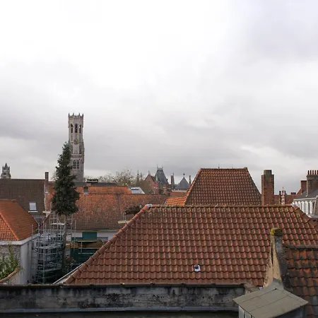 Ridderspoor * Μπριζ